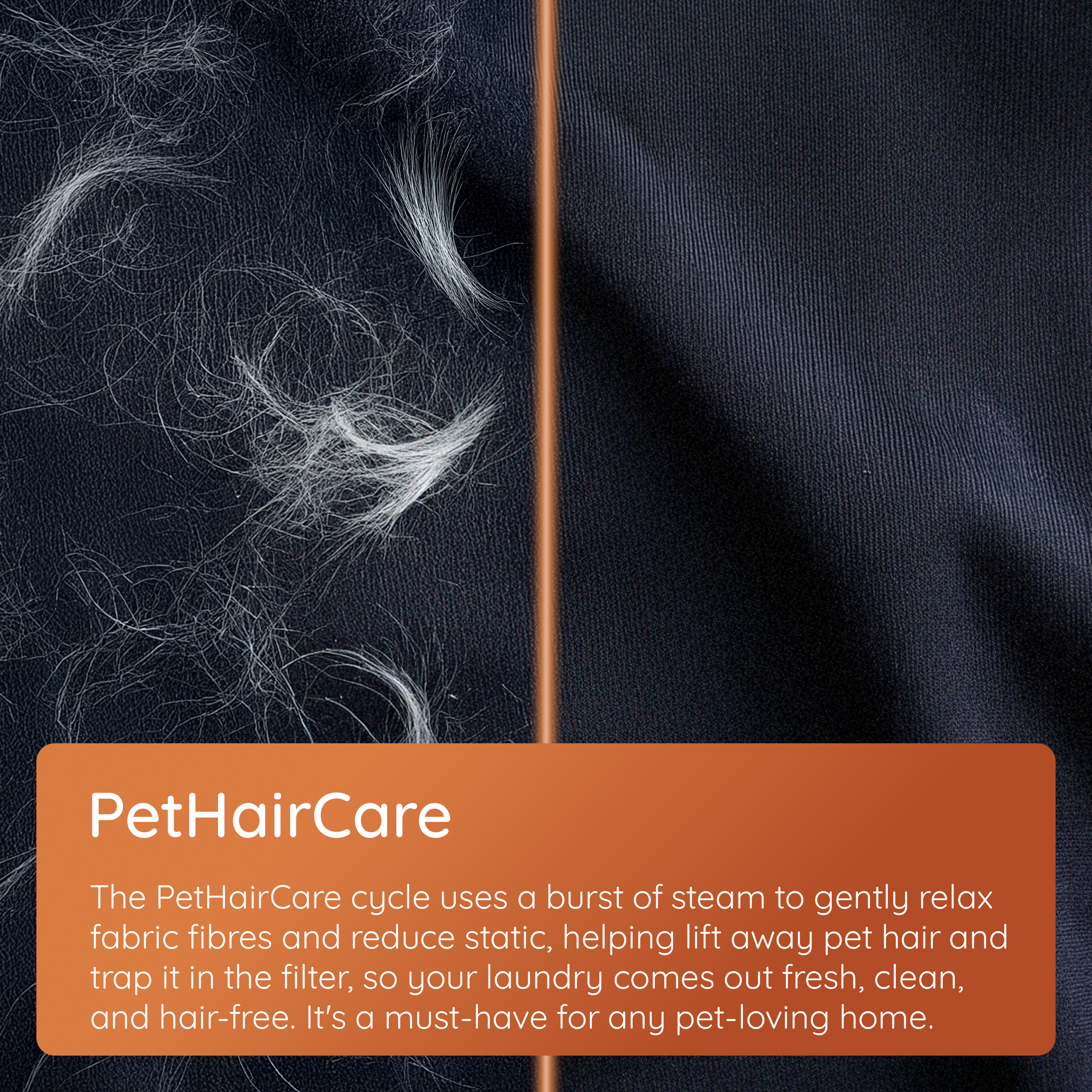Pet_Hair_Care_Carousel_3000x3000Mxc7quTHF0CTS - Image 7