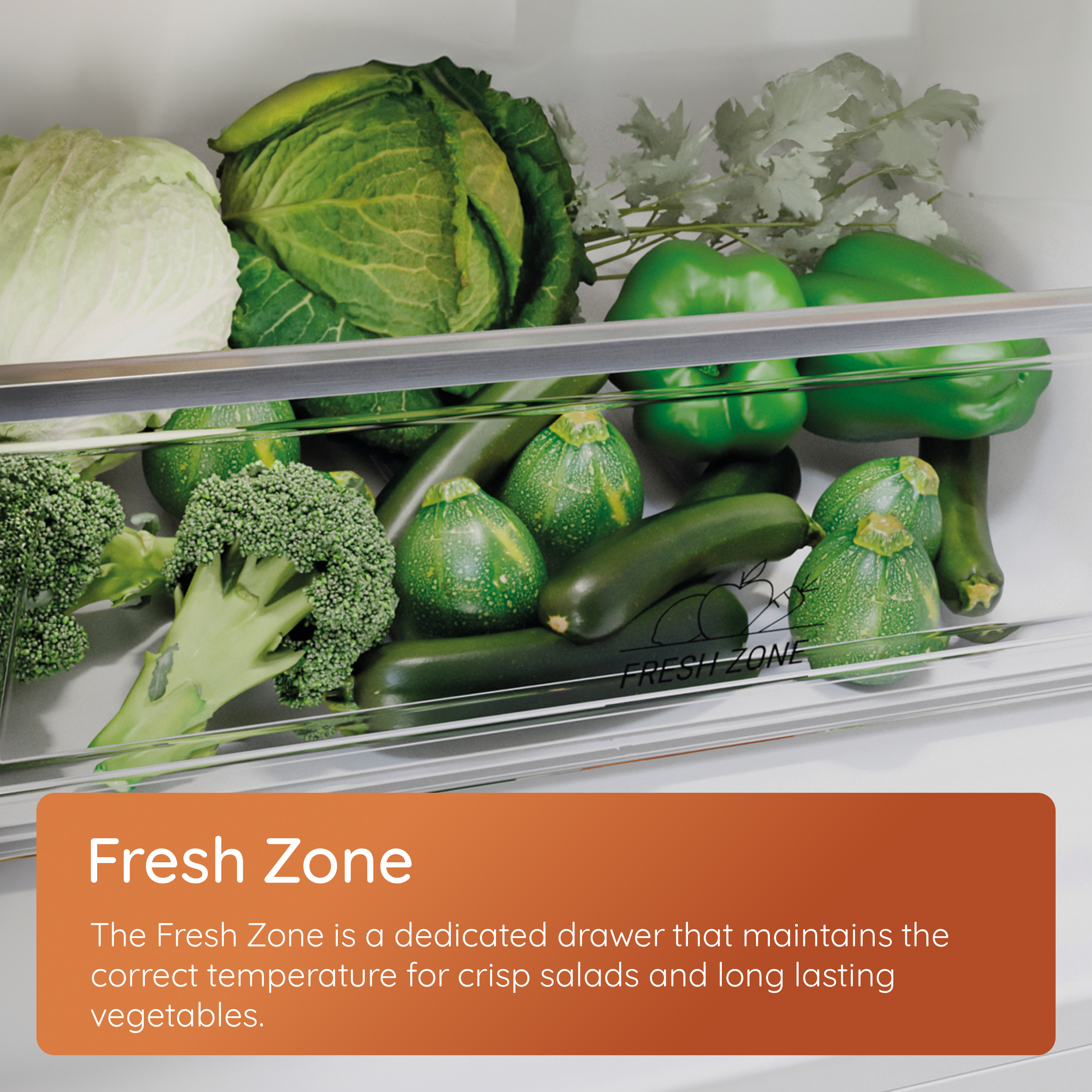 Fresh_Zone_Carousel_3000x3000 - Image 7