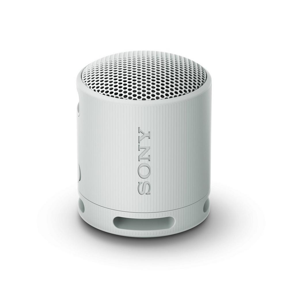 Sony SRSXB100HCE7 Grey Wireless Speaker