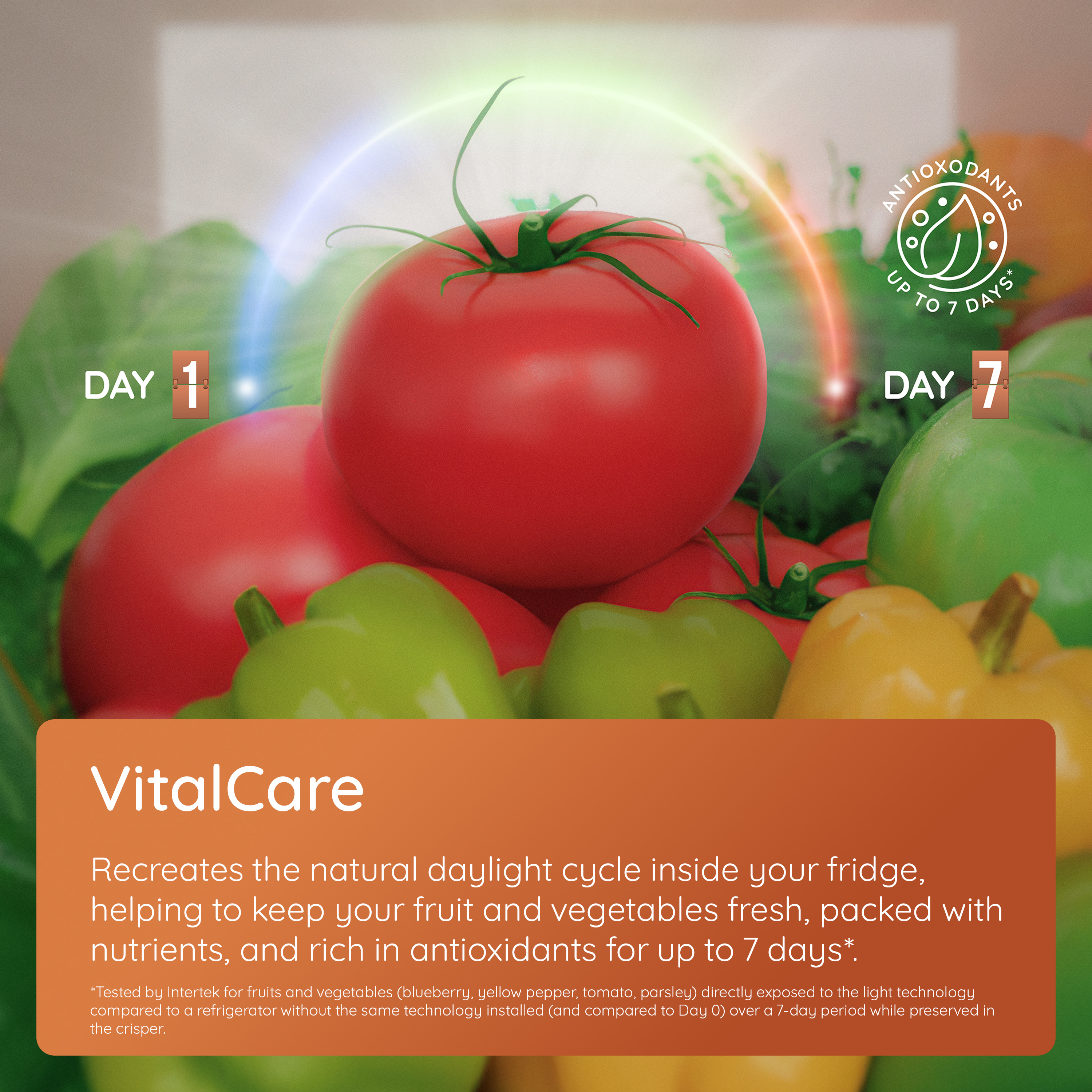 VitalCare_Carousel_3000x3000 - Image 2