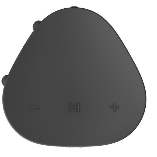 lid - Image 5